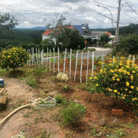 Đất Mặt Tiền Quốc Lộ 20 Xuân Trường Đà Lạt 250M2 Giá Bán 3,2 Tỷ