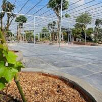 Bán nhà vườn phường Vĩnh Thông, Rạch Giá - KG