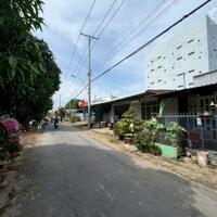 Nhượng Nhà Yến đang thu hoạch tại Mỹ Hòa Hưng, Long Xuyên AG