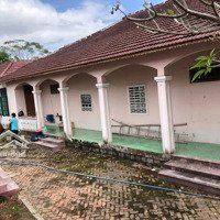 Chính Chủ Bán Nhà Vườn, Phú Lộc Tây 1, Diên Khánh, Khánh Hòa, 9.5 Triệu/M2, 1317M2, Pháp Lý Sổ Đỏ.