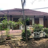 Chính Chủ Bán Nhà Vườn, Phú Lộc Tây 1, Diên Khánh, Khánh Hòa, 9.5 Triệu/M2, 1317M2, Pháp Lý Sổ Đỏ.
