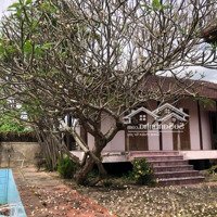Chính Chủ Bán Nhà Vườn, Phú Lộc Tây 1, Diên Khánh, Khánh Hòa, 9.5 Triệu/M2, 1317M2, Pháp Lý Sổ Đỏ.
