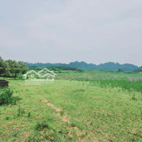 View Cực Phẩm, Đất Bám Suối, Có Ao Có Nhà, Sẵn Nhiều Cây Ăn Quả Và Cây Bóng Mát Lâu Năm