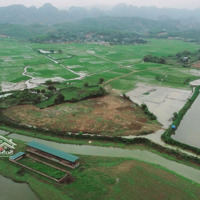 View Cực Phẩm, Đất Bám Suối, Có Ao Có Nhà, Sẵn Nhiều Cây Ăn Quả Và Cây Bóng Mát Lâu Năm