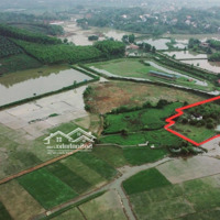 View Cực Phẩm, Đất Bám Suối, Có Ao Có Nhà, Sẵn Nhiều Cây Ăn Quả Và Cây Bóng Mát Lâu Năm