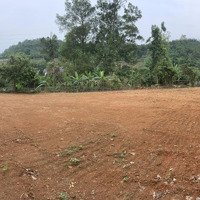 Ont Lâu Dài 1018M2 Cơ Hội Đầu Tư