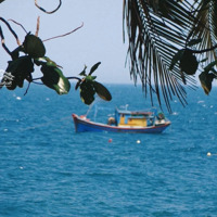Nhà Mình Có Căn Nhà Mặt Biển Gành Đỏ, Sông Cầu, Phú Yên Cần Bán.