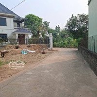Rẻ Nhất Thị Trường Văn Giang, Lô 76,7M Cd Quán Trạch Liên Nghĩa Văn Giang, Đường Ô Tô Vào