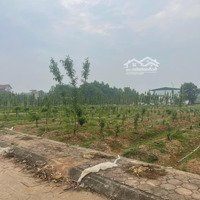 Chính Chủ Bán Nhanh Lô Đât Thọ Lộc, Vị Trí Đẹp Giá Tốt Nhất Thị Trường