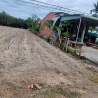 Chính chủ bán 1025.9m đất mặt tiền đường nhựa giá chỉ 1.2 tỷ tại Thạnh Bắc, Tân Biên