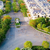 Bán Biệt Thự Lô Góc 231M2 (1 Hầm Và 3 Nổi) - Vị Trí Siêu Kinh Doanh Đón Đầu Đường 3.5