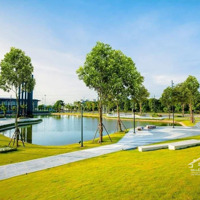Bán Biệt Thự Lô Góc 231M2 (1 Hầm Và 3 Nổi) - Vị Trí Siêu Kinh Doanh Đón Đầu Đường 3.5