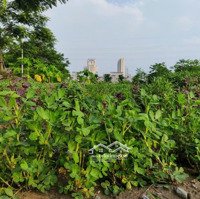 Chính Chủ Bán Lô Đất 700M Siêu Đẹp Tràng Duệ, Lê Lợi, An Dương, Hải Phòng , Gía Chỉ 7,4 Tỷ.