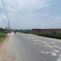 Em Có 6 Mảnh Đất Lúa Từ 1-3 Sào Tại Nghĩa Hương Cần Bán, Bám Đường Đất Ô Tô Vào