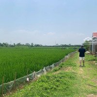 Em Có 6 Mảnh Đất Lúa Từ 1-3 Sào Tại Nghĩa Hương Cần Bán, Bám Đường Đất Ô Tô Vào