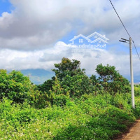 Đất View Núi Đại Bình 525M2 Tại Lộc Thanh, Bảo Lộc, Lâm Đồng, Giá Bán 1,4 Tỷ Hàng Ngộp