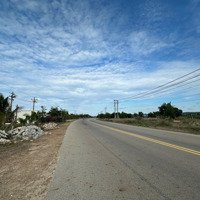 Bán Vội Lô Đất Mặt Tiền Đường Ven Biển Bình Thuận Với 100M Mặt Tiền, 1 Mẫu 7 Giá Siêu Siêu Hấp Dẫn
