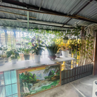 Bán Tập Thể Hồng Mai Thanh Nhàn, Hai Bà Trưng Nhà Đẹp 3 Ngủ Ô Tô Đỗ Chân Cầu Thang, Sổ To 45M
