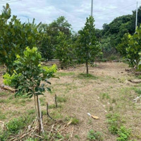 Bán Đất Sào Hơn 1250M2 Có Sẵn Vườn Trái Cây Ở Xã Phước Khánh Nhơn Trạch Đường Vào Đất Rộng 3,5M