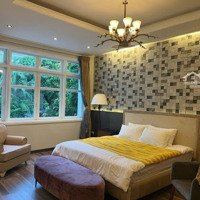 Phân Lô Vip - Kinh Doanh Ô Tô Tải Tránh, Vỉa Hè Rộng - Phạm Tấn Tài, Cầu Giấy, Diện Tích: 40M, Giá Bán 14,5 Tỷ
