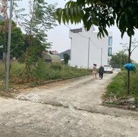Bán Đất 41M2 Tại Quang Tiến, Sóc Sơn, Hà Nội, 1,38 Tỷ Siêu Hot