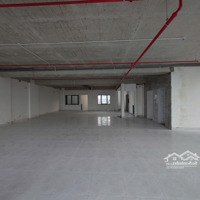 Mặt Bằng Văn Phòng Siêu Xịn 250M2 Đường Nguyên Hồng, Gò Vấp