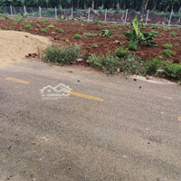 650 Triệu | 100M2| Đất Trảng Bom - Đồng Nai | 14 Lô Sổ Riêng Từng Nền | Hạ Tầng Hoàn Thiện| Ở/Đầu Tư