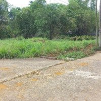 Chính Chủ Bán 510M² Full Thổ Cư, Sát Bến Xe Chùa Bái Đính Mặt Bằng Lý Tưởng Xây Khách Sạn, Homestay
