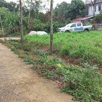 Chính Chủ Bán 510M² Full Thổ Cư, Sát Bến Xe Chùa Bái Đính Mặt Bằng Lý Tưởng Xây Khách Sạn, Homestay