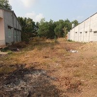 Hạ Giá Bán Gấpmặt Tiềnql N1, Gần Chợ Nhà Bàng, An Giang, 600 Triệu/120M2, Shr, Sang Tên Trong Ngày.