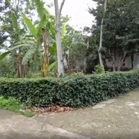 Giá Siêu Hấp Dẫn, Lô Góc 2 Mặt Tiền, Diện Tích: 1905M Tại Tt Ba Hàng Đồi, Giá 3, 2 Triệu/M, Vài Bước Ra Ql21