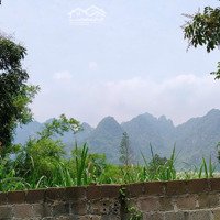 Giá Siêu Hấp Dẫn, Lô Góc 2 Mặt Tiền, Diện Tích: 1905M Tại Tt Ba Hàng Đồi, Giá 3, 2 Triệu/M, Vài Bước Ra Ql21
