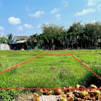 CÔ TƯ NHỜ EM BÁN NHANH LÔ ĐẤT FULL THỔ 130M2 TẠI TÂN HỘI – CỦ CHI