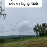 Đất View Đồi Đà Lạt Nghỉ Dưỡng