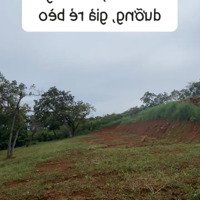 Đất View Đồi Đà Lạt Nghỉ Dưỡng