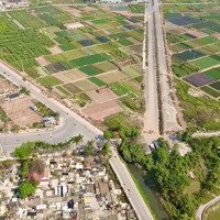Còn Sót 1 Lô Duy Nhất Dv Lại Yên Giá. Cực Êm