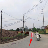 Đất Đấu Giá, Chỉ 48.Xtriệu/M², 2 Oto, Vỉa Hè, Gần Đường Kinh Tế, Bán Đất Kim An0977690119 .Sinh