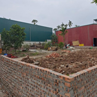 Phân Lô, Ô Tô Vào Đất, 3 Lô 60M2, Trước Đất 4,5M, Đường Thông, Giá Đầu Tư