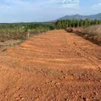 Cần Bán 4068,1M Vuông,Đất Trồng Cây Lâu Năm
,Tại Xã Hoà Hiệp,Xuyên Mộc
Đất Gần Khu Dân Cư,Điện Nước