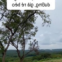 Đất Nghỉ Dưỡng Cao Tốc Đồng Phú Đồng Tâm