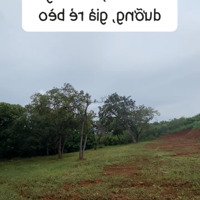 Đất Nghỉ Dưỡng Cao Tốc Đồng Phú Đồng Tâm