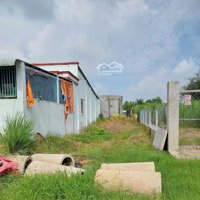 Bán Ngộp Lô Đất 140M2 Sát Ql22 Thuộc Xã Tân Phú Trung, Củ Chi Giá Bán 980 Triệu