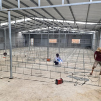 Chính Chủ Bán Nhà Xưởng 700M2 Hàng Hiếm Giá Tốt Đường 14B, Hòa Phong, Hòa Vang, Đà Nẵng, 2,35 Tỷ