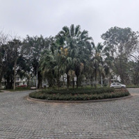 Biệt Thự Đơn Lập Mimosa Ecopark Hưng Yêndiện Tích400M2, Xây Thô 3 Tầng, 3 Mặt Thoáng Liên Hệ: 0913969292