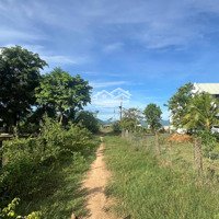Hàng Hiếm Tại Quốc Lộ 28, Hàm Trí, Hàm Thuận Bắc, Bình Thuận, 360 Nghìn / M2, 12209 M2