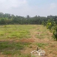 Cần Bán Đất Sào Đường Hà Huy Giáp, Thị Trấn Long Thành, Đồng Nai. Giá Bán 1Ty950,Diện Tích1450M2. Shr