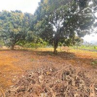 Cần Bán 1911M2 Đất. Lô Góc 2 Mặt Tiền. Tại Xã Liên Sơn. Huyện Lương Sơn. Hoà Bình.