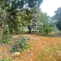Cần Bán 1911M2 Đất. Lô Góc 2 Mặt Tiền. Tại Xã Liên Sơn. Huyện Lương Sơn. Hoà Bình.