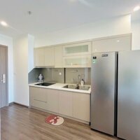 Cho thuê căn hộ  Symphony Riverside 65m2 full đồ 2pn 2wc giá 15triệu