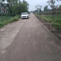 Bán Đất Sát Quốc Lộ 1A, Mb94 Quảng Trung, Quảng Xương. Diện Tích: 180M2, Mặt Tiền 6M, Sổ Sẵn